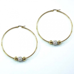Stainless steel jewelry earrings