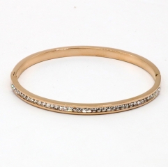 Stainless steel jewelry Bangle for women