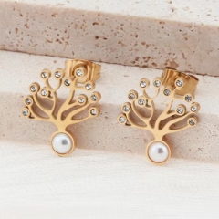 Stainless steel jewelry Earrings wholesale