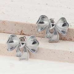 Stainless steel jewelry Earrings wholesale