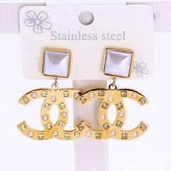 Stainless steel jewelry Earrings wholesale