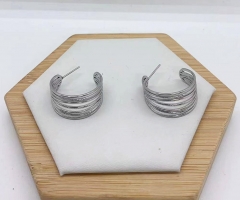 Stainless steel jewelry Earrings wholesale