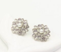 Stainless steel jewelry Earrings wholesale