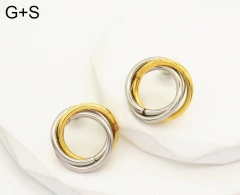 Stainless steel jewelry Earrings wholesale