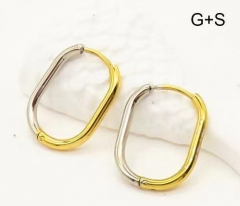 Stainless steel jewelry Earrings wholesale