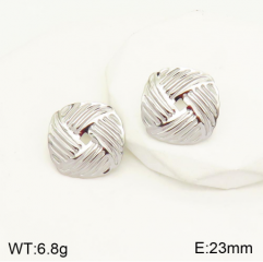 Stainless steel jewelry Earrings wholesale