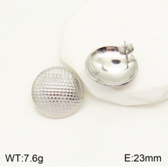 Stainless steel jewelry Earrings wholesale