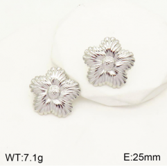 Stainless steel jewelry Earrings wholesale