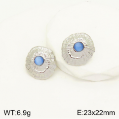 Stainless steel jewelry Earrings wholesale