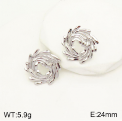 Stainless steel jewelry Earrings wholesale