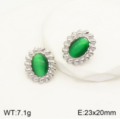 Stainless steel jewelry Earrings wholesale