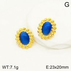 Stainless steel jewelry Earrings wholesale