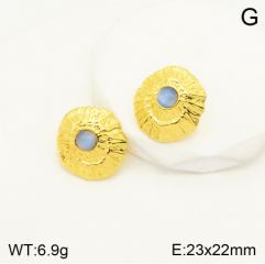 Stainless steel jewelry Earrings wholesale