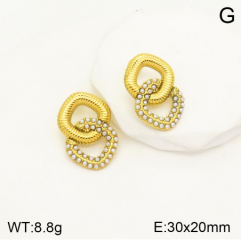 Stainless steel jewelry Earrings wholesale