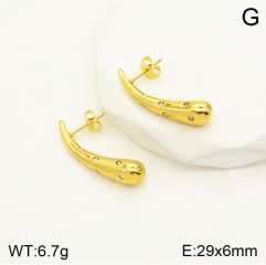 Stainless steel jewelry Earrings wholesale