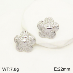 Stainless steel jewelry Earrings wholesale