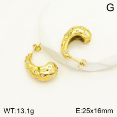 Stainless steel jewelry Earrings wholesale