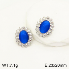 Stainless steel jewelry Earrings wholesale