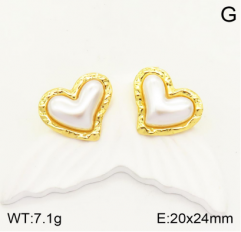 Stainless steel jewelry Earrings wholesale