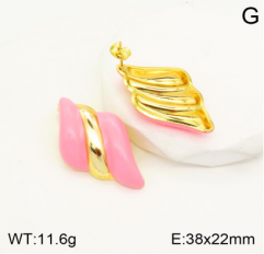 Stainless steel jewelry Earrings wholesale