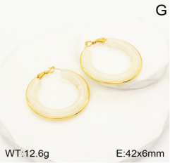 Stainless steel jewelry Earrings wholesale