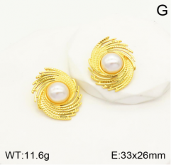 Stainless steel jewelry Earrings wholesale