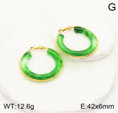 Stainless steel jewelry Earrings wholesale