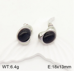 Stainless steel jewelry Earrings wholesale