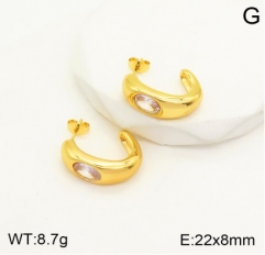 Stainless steel jewelry Earrings wholesale