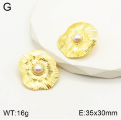 Stainless steel jewelry Earrings wholesale