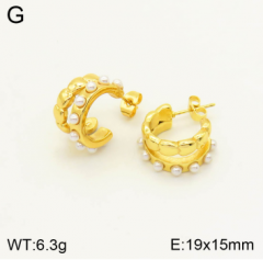 Stainless steel jewelry Earrings wholesale