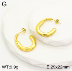 Stainless steel jewelry Earrings wholesale