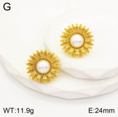 Stainless steel jewelry Earrings wholesale