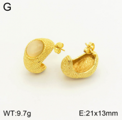 Stainless steel jewelry Earrings wholesale