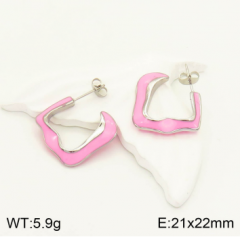 Stainless steel jewelry Earrings wholesale