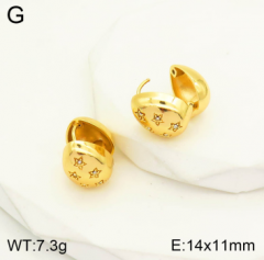 Stainless steel jewelry Earrings wholesale