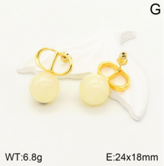 Stainless steel jewelry Earrings wholesale