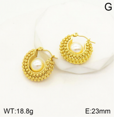 Stainless steel jewelry Earrings wholesale