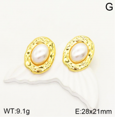 Stainless steel jewelry Earrings wholesale