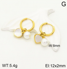 Stainless steel jewelry Earrings wholesale