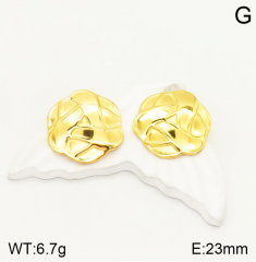 Stainless steel jewelry Earrings wholesale