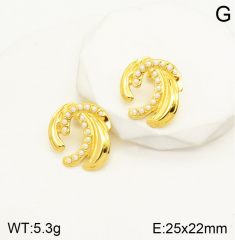 Stainless steel jewelry Earrings wholesale