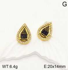 Stainless steel jewelry Earrings wholesale