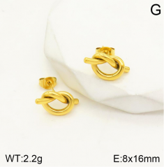 Stainless steel jewelry Earrings wholesale