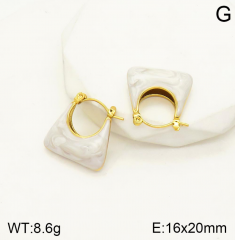 Stainless steel jewelry Earrings wholesale