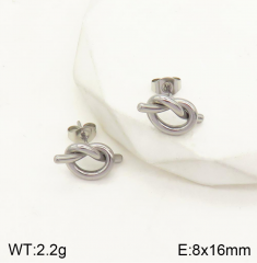 Stainless steel jewelry Earrings wholesale