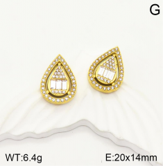 Stainless steel jewelry Earrings wholesale