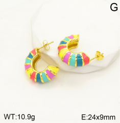 Stainless steel jewelry Earrings wholesale