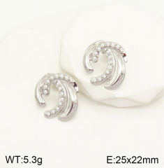 Stainless steel jewelry Earrings wholesale