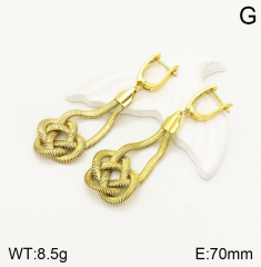 Stainless steel jewelry Earrings wholesale